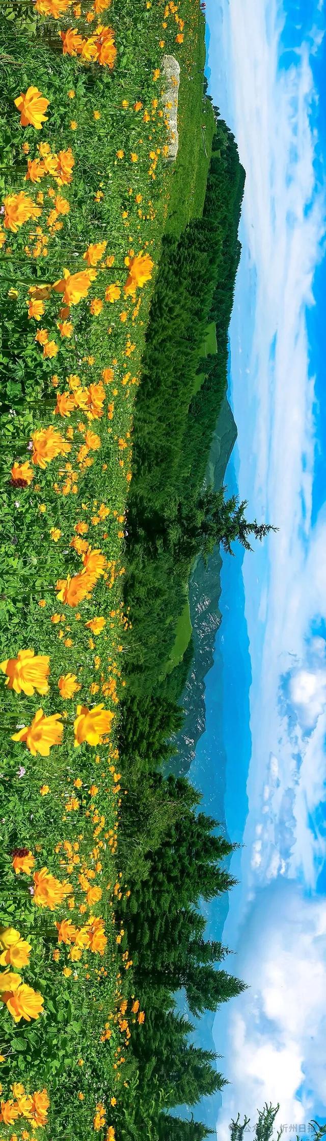 五台山有多少极致风光？
