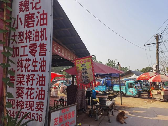走进洧川大集，感受人间烟火气