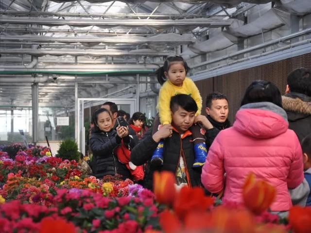 解锁鹤岗冬天：冰雪里的快乐密码