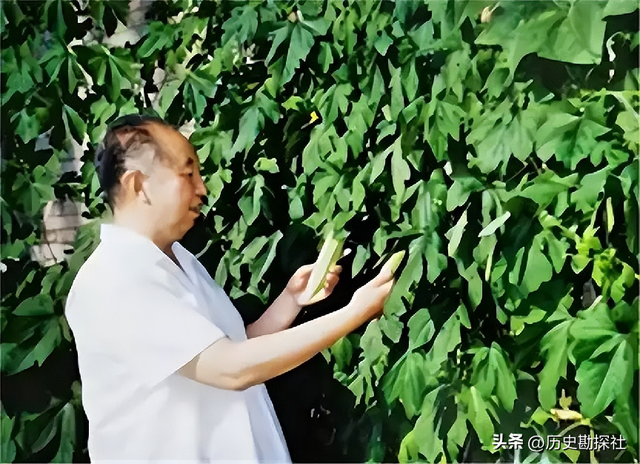 1961年，华国锋一家六口的合影，40岁的他长相周正，妻子端庄贤惠