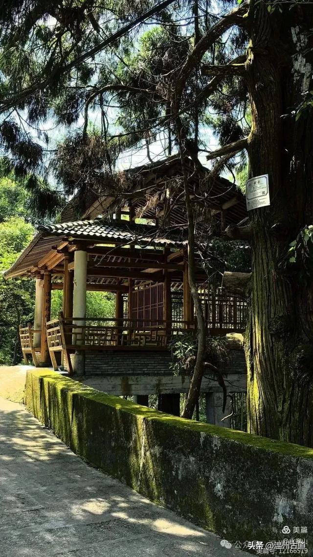 华东最后一个通电村！你知道是温州哪个村吗