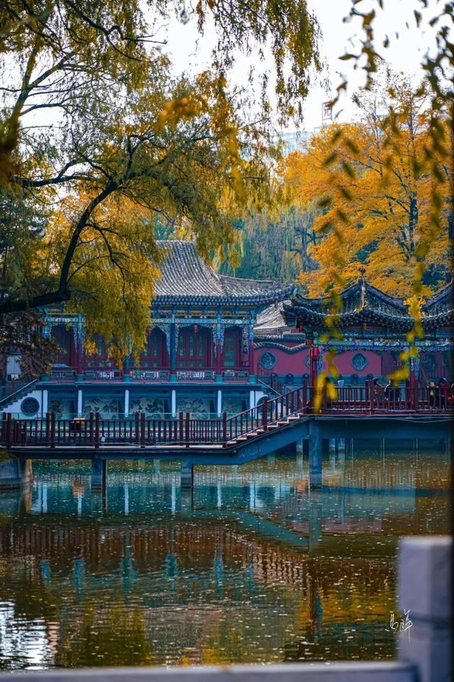 冬日限定｜临夏的初冬，是写满诗意的“人间治愈”