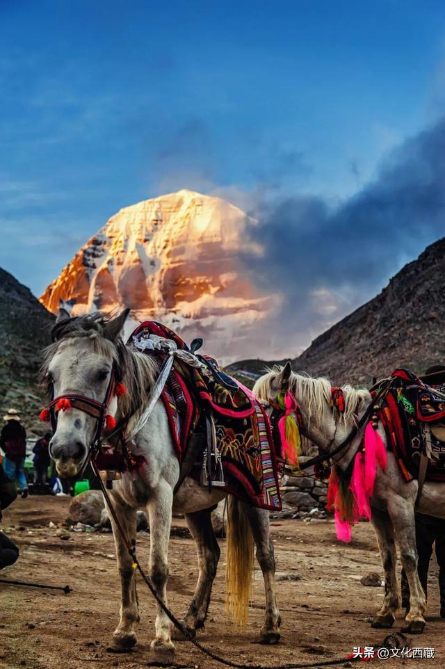 太绝了！西藏那些一眼难忘的山形！你认识几座？