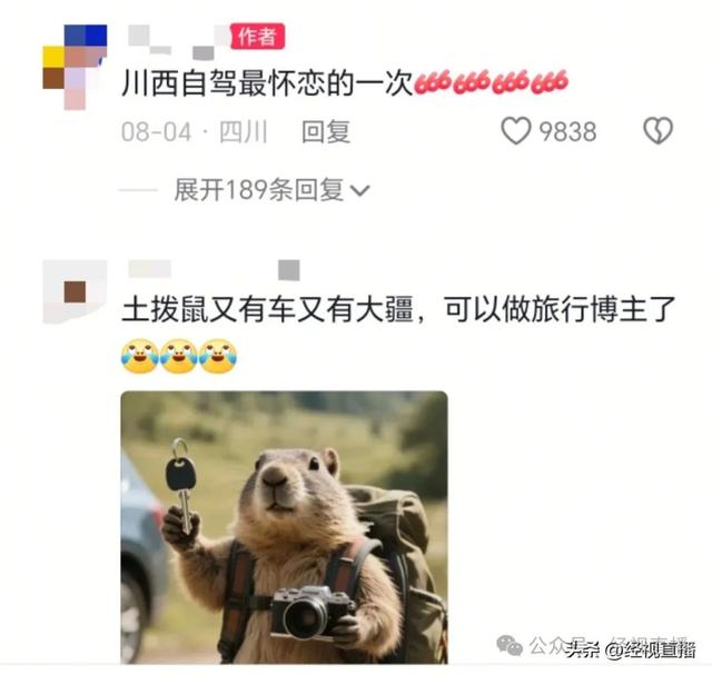 男子自驾川西，车钥匙被土拨鼠叼进洞！最终用强力磁铁吸出车钥匙
