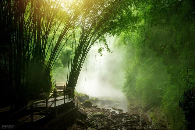 60 岁前跑遍景点，60 岁后才懂：旅行的真相，我悔早知道！