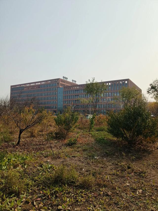 天津《天津大学北洋园校区》