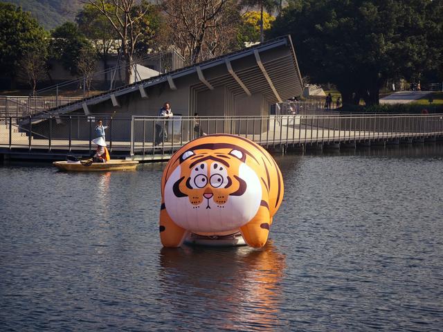 西丽湖绿道骑行随拍