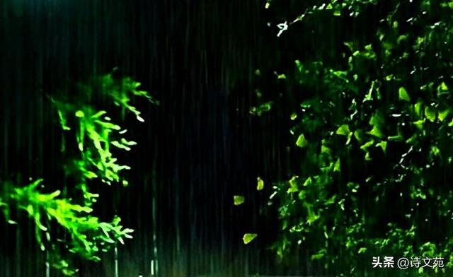 雨润中元，清凉心扉