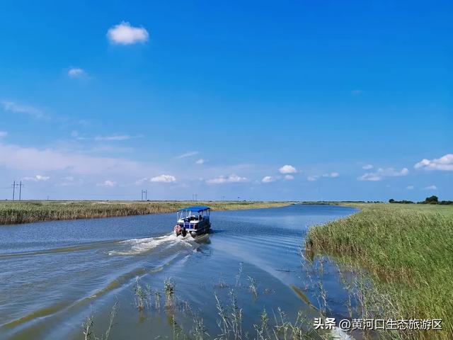 【黄河口生态旅游区】今日立秋