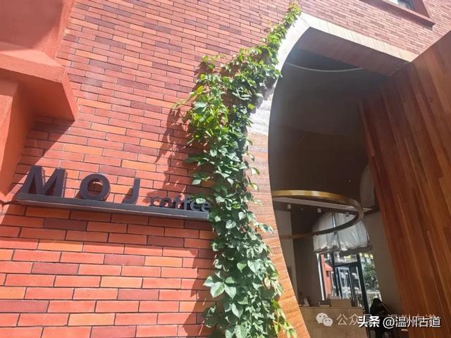 这个凭借21℃的天然清凉悄然“出圈”的森林小镇，别具异域风情！