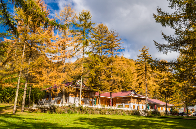 广元不远 周末优选 | 秋色短暂，曾家山赏秋路线来啦！