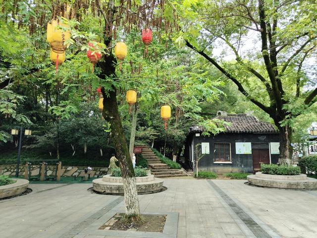 在苏州吴江的清幽公园，邂逅江南的初秋的一阵风！