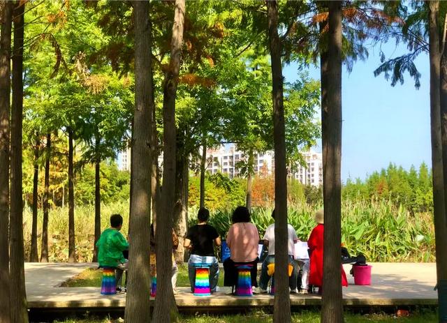 秋色斑斓美如画