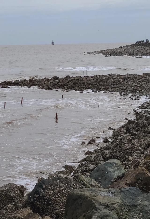 上海的海，怕是全国最“憋屈”的海！为啥存在感这么低？