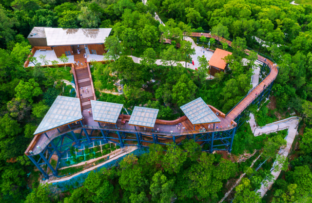 逛完你的逛你的，桂城公园真的逛不完！免费畅玩→