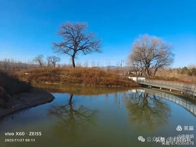初冬北京玉河湿地公园游记|申艳娟