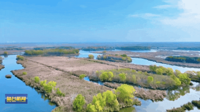 错过等一年！快来鱼台这里赏冬吧