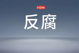海南8名干部被处分图片