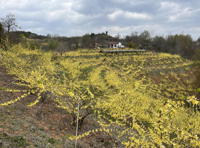 在两当，春天就要Color Walk→