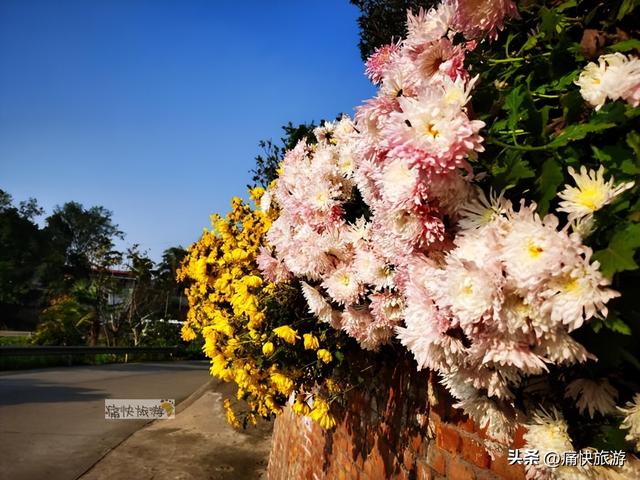 行走自贡：俞冲至万场的乡村风光