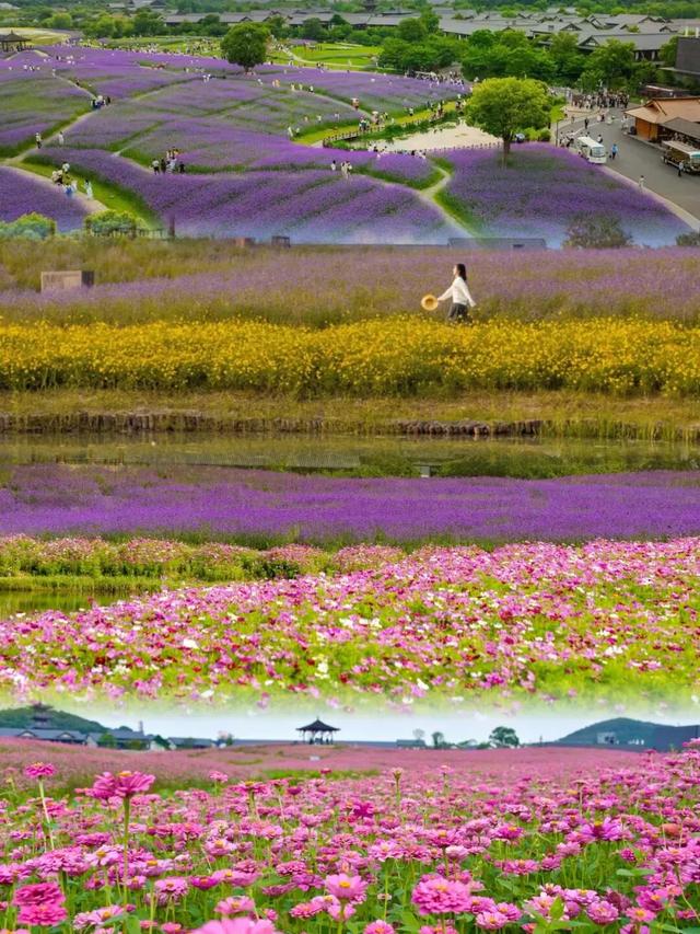 独一无二的“文旅科技型景区”，能劈开新赛道吗？