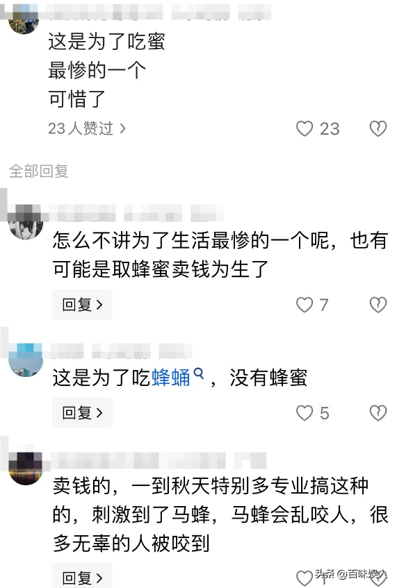 男子取蜂蛹被绳子缠脖身亡，目击者发声曝细节：树上卡了3个小时