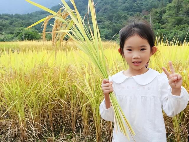 百鸡宴、音乐会、梯田徒步……这周末，肇庆这里超好玩