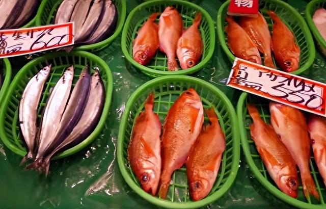 禁令生效，中方对日称呼已变，日右翼开始反水，枪口对准高市早苗