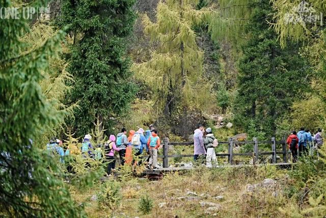 别再等！达古秋冬双景已上线，从彩林穿越到雪域
