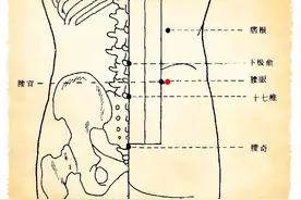 奇穴腰眼穴，人称补腰穴，强腰健肾主治腰酸背痛的要穴，值得了解图片