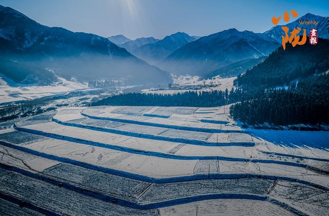 【小陇画报·433期】天祝哈溪：白雪绿林同框 冬日浪漫如画境
