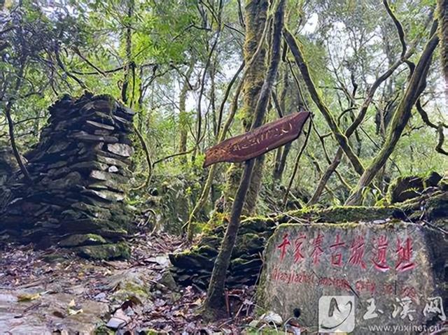 散文 | 梁 平：遥远的哀牢山