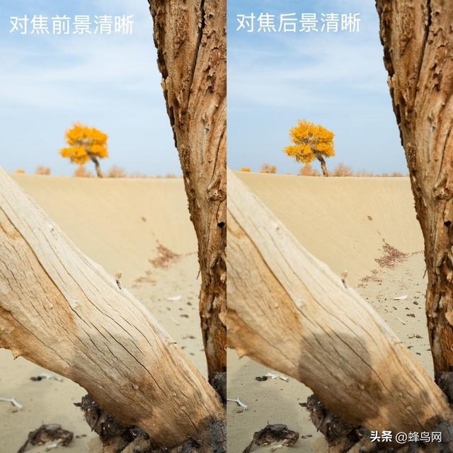 南疆寻秋--富士GFX100 II刻画南疆的雪山、沙漠与胡杨