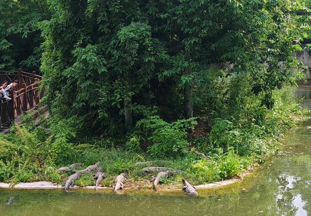 说它是安徽区域位置最好的城市，应该没人会反对吧？