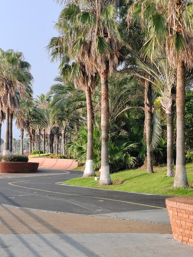 紫云公园:光阴与自然的交响