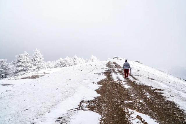 【文明旅游】太原市娄烦县：云顶之上，雪落成诗，来娄烦云顶山，遇见冬日童话