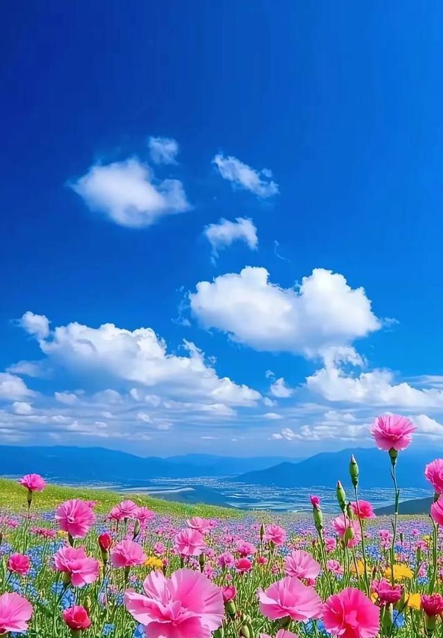 #美丽风景 #蓝天白云绿草地 #自然风光