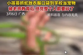 小学生把竹叶青当宠物！被老师教育后，哭成泪人图片