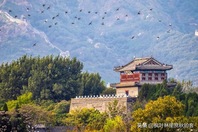 河北省11市综合实力大比拼