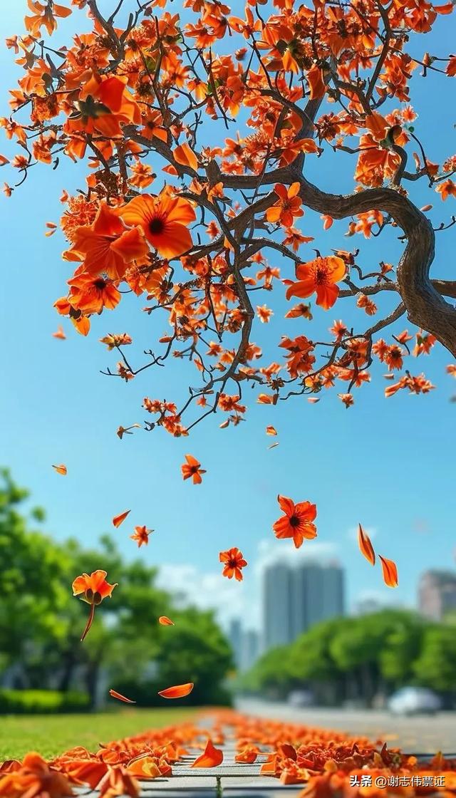 10月第4期（3天）点评