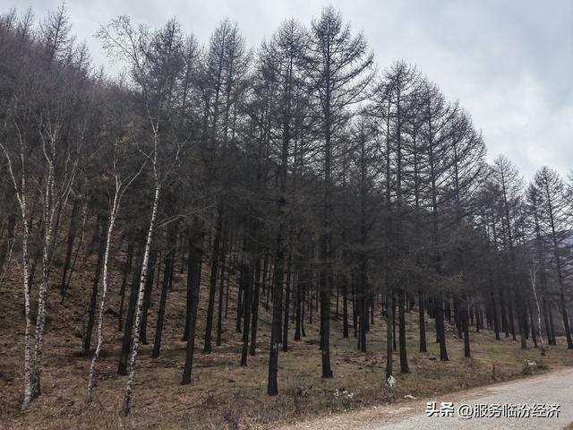 立冬时节的霍州七里峪，山间已透出清冽的冬意