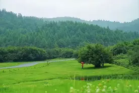 重庆人，请上车！这些避暑地都有直达班车，便捷又凉快→图片