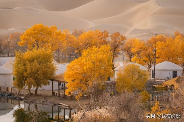 470万亩胡杨林带你秋游大美新疆