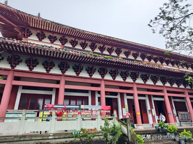 四川行(73)什邡红枫岭徒步到钟鼎寺