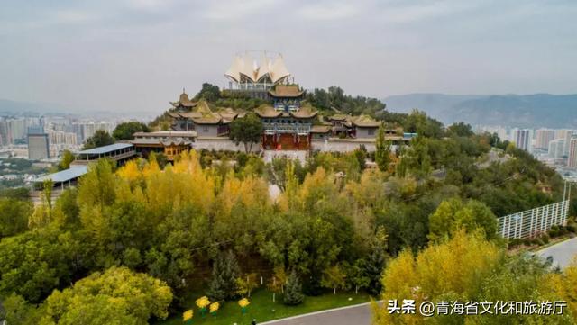 西宁,把秋天藏进了这些地方...