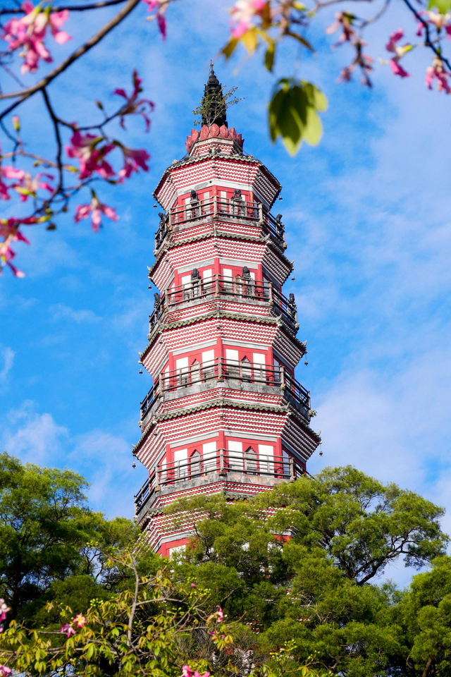 图集 | 来顺峰山公园邂逅一场粉色浪漫！