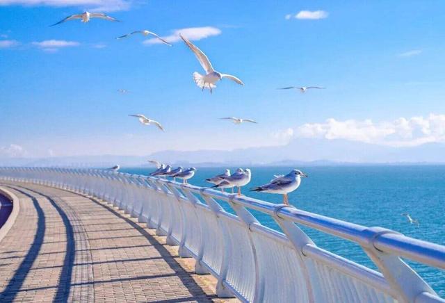 昆明冬日顶流回归！约起！