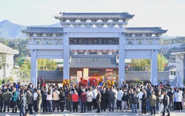 沸腾了一城茶香！“六开”系列活动在苍梧县六堡镇热闹开启