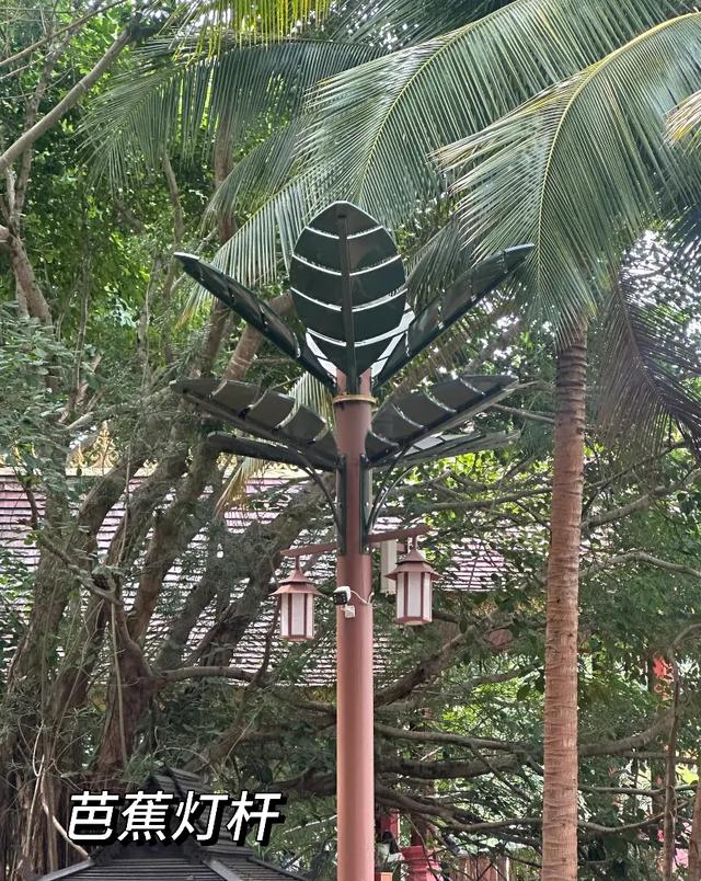 这可能是我买过的最离谱的特产: