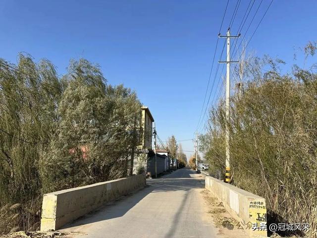 冠县乡韵·贾镇洼里村